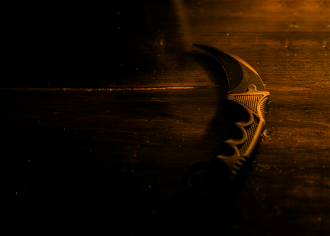 Karambit: what it is, origin, interesting facts, how to use it, and more!