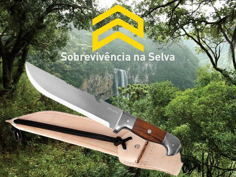 4 maiores mitos sobre sobrevivência na selva! Fique ligado!