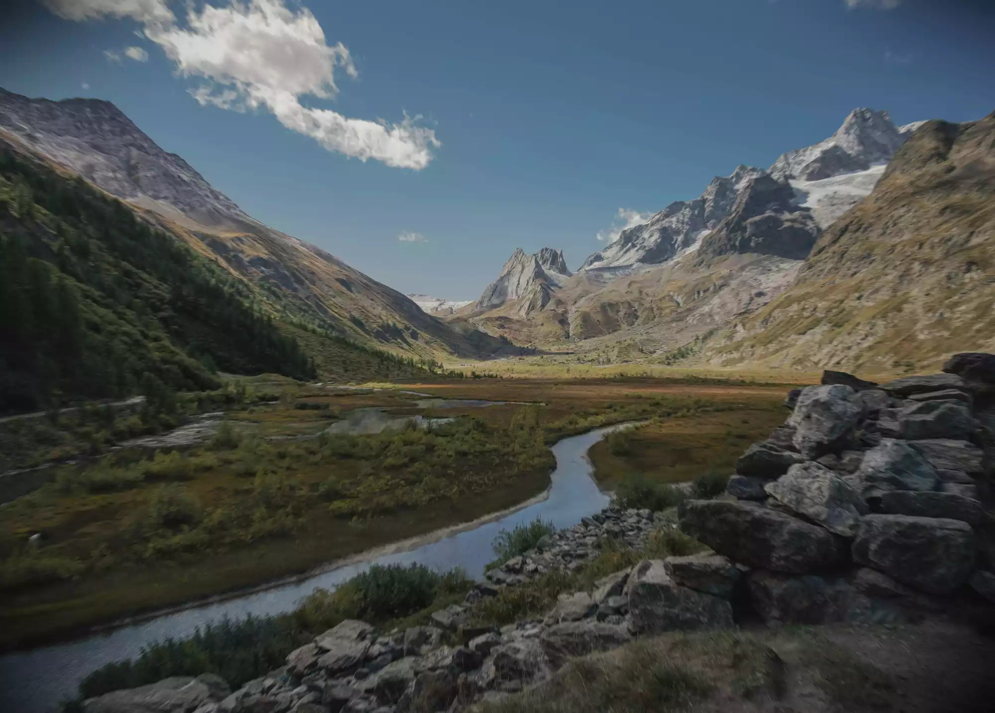 14 Tipos de facas: veja quais são e como escolher